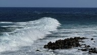 El mayor tesoro marino de la historia podría estar en Canarias, y toda la comunidad científica ya mira hacia las islas
