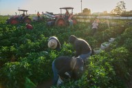1.2 million immigrants are gone from the US labor force under Trump, preliminary data shows