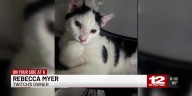 Owners of missing cat believe he jumped into Amazon delivery van