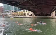 ‘A Really Monumental Day’ for Chicago River: Clean Enough for Hundreds to Swim In