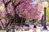 CLIMA HOY! Día primaveral para éste miércoles 24 en Corrientes