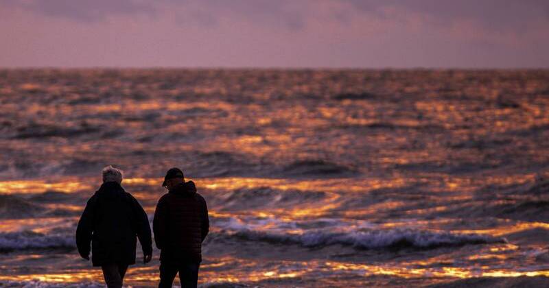 Marine life thriving amid Baltic Sea WW2 explosives