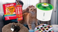 Amazon Cat Week Deals to Spoil Your Feline Friend