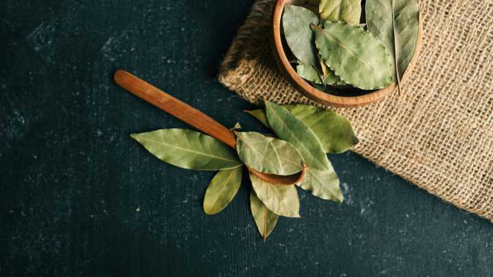 Should You Be Putting Bay Leaves In Your Washing Machine?