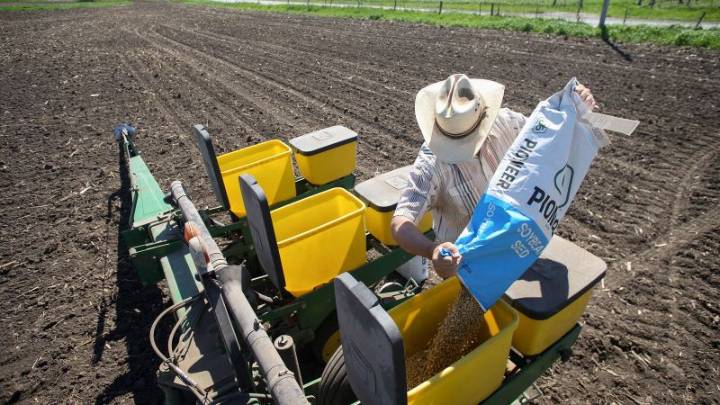 ‘Tidal wave of problems’: With harvest here, Trump’s trade war pushes some US farmers to the brink