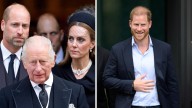 Prince Harry surprised King Charles with gift during ‘53 minute’ meeting which saw him ‘taken by surprise’ at formality