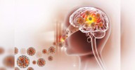 Kerala reports 80 cases, 21 deaths due to amoebic meningoencephalitis