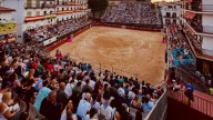 Arganda del Rey hace historia con la feria Vid de Oro más multitudinaria