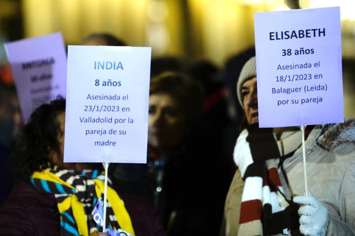 La violencia vicaria machista será tipificada como delito específico