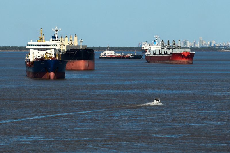 Argentina suspends agro-export taxes to scoop up dollars