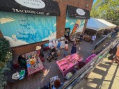 Hundreds attend Kew Gardens Community Arts Day to support local artisans