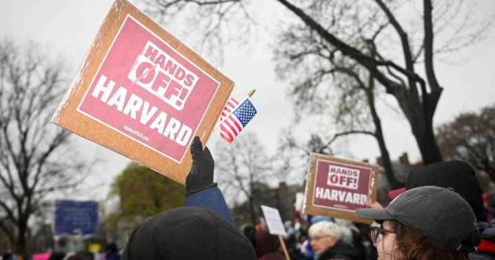Juez federal dictamina que la administración Trump canceló ilegalmente la financiación de Harvard