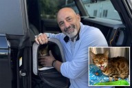 Purr-fect reunion: Florida family finds missing cat 900 miles away