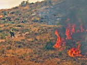 Infoca confirma que el incendio en Monte Coronado en la capital está controlado