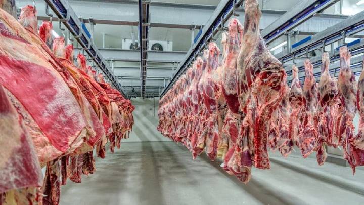 Gobierno extendió retenciones cero a carnes avícolas y bovinas hasta el 31 de octubre