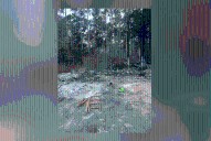 Hudson Fire Dept. extinguishes brush fire in Angelina County