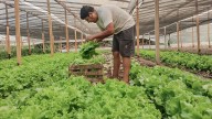 El impacto negativo para el agro