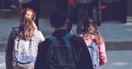 Estudio de la OCDE destaca a Chile por gratuidad en educación superior, financiamiento y profesión docente