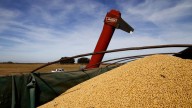 El agro vendió granos por USD4.200 millones y alcanza al 60% el tope que fijó el Gobierno