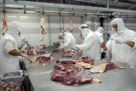 En búsqueda de dólares, Milei pausó las retenciones a las carnes avícolas y bovinas