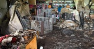 Dog rescue building damaged in fire; community responds