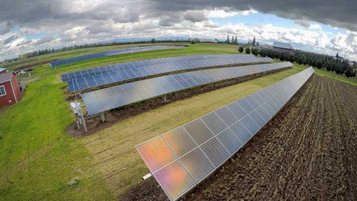 Learn more about going solar during SUN day event