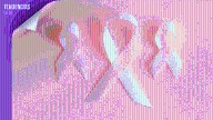Día Internacional del Cáncer de Mama: prevención y esperanza