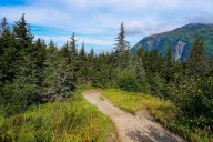 Pasajero de crucero muere tras caer de un sendero en montañas de Alaska