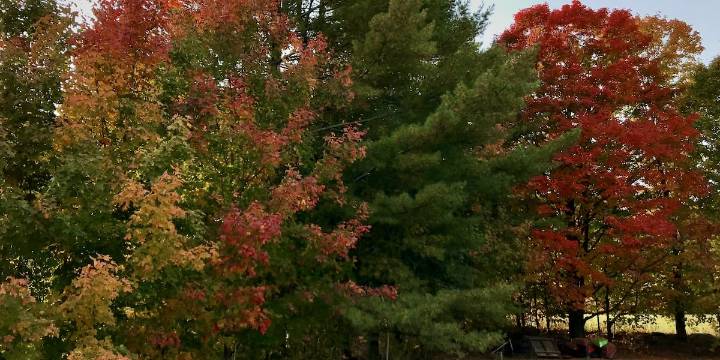 Leaf peepers flock to Stowe for early foliage