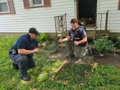 Champion man indicted after dead dog and cat found in home