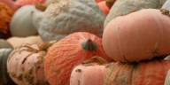Garden Spot: Pumpkin season!