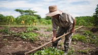 Crítica a la baja de las retenciones