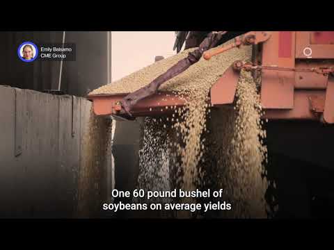 Soybean Oil Is Dominating Soybean Crush Revenues 