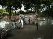 COP30 urged to link climate justice with reparations for historical crimes