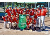 Stratford Nationals earn four Ontario Baseball Association medals