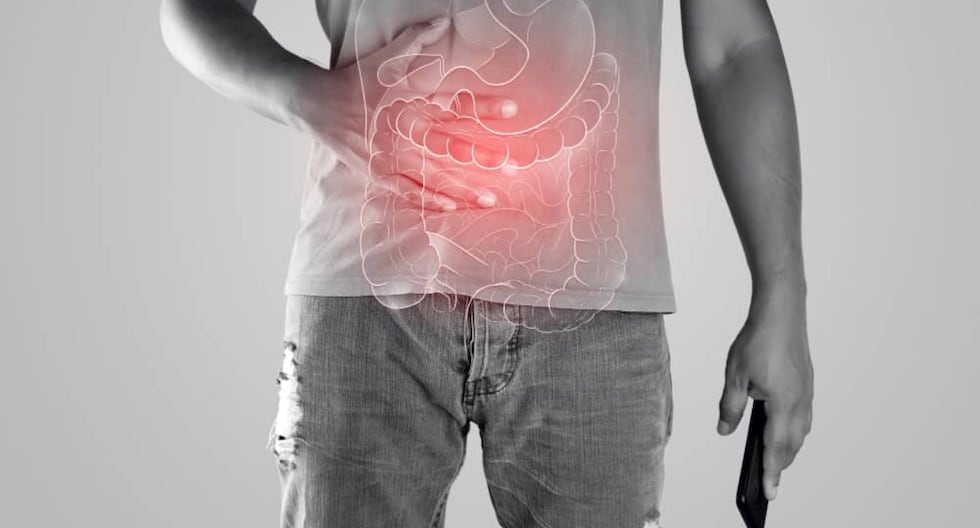 La columna de Pérez Albela: Guía práctica para cuidar tu barrera intestinal