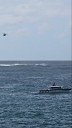Shark mata a Surfer en Australia que ‘perdió varias extremidades’: la policía