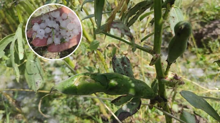 Granizada inundó viviendas en Yunguyo