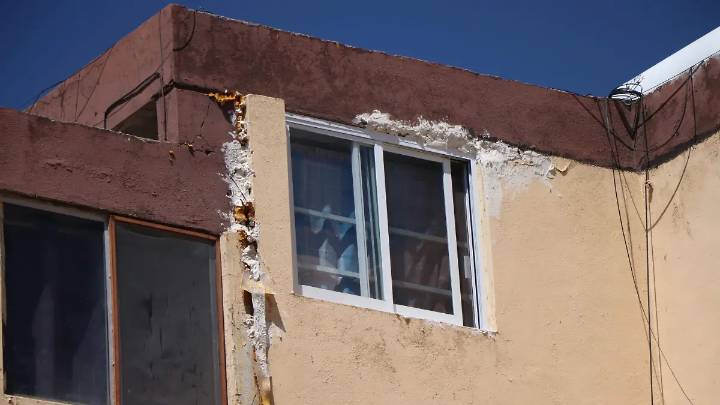 ¿Vecinos de Infonavit Volcanes y Pirules deben preocuparse por los murciélagos? Esto dice el ISSEA
