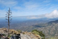 La Sierra de la Laguna, la zona donde más lluvias caen en BCS