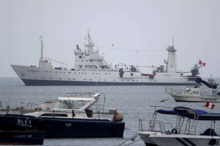 Crucero hidroacústico evaluará biomasa de anchoveta y otros recursos pelágicos