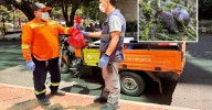 Habilitan una ruta para recoger caracoles africanos en el Valle de Aburrá