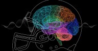 NFL and UFC athletes try 'game-changing' psychedelic to treat brain injury