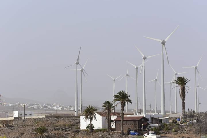 Agaete marca la temperatura más alta de Canarias (y el jueves es el día de mayor riesgo)