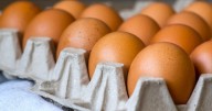 Ordenan retirar de todos los puntos de venta estos huevos mortales por estar contaminados y causar enfermedades graves