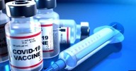 Officials look to tie Covid-19 vaccine to risks in pregnancy, kids while weighing narrower recommendation for older adults