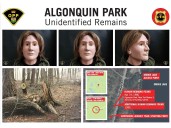Human remains found in Algonquin Park identified after 40 years