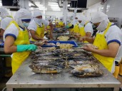 Desde 2026, Estados Unidos restringirá pesca de 46 países, pero para Ecuador no habrá ‘mayor incidencia’