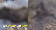 Siguen los problemas por cementerio clandestino canino en Las Torres