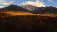 When will we see peak fall foliage in East Tennessee?